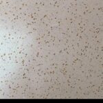 White Galaxy Gold