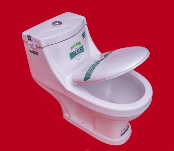 Sawa SW01 One-Piece Toilet – Half Set