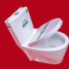 14-7-616x493 SAWA BG-01 Onepiece Toilet – Half Set