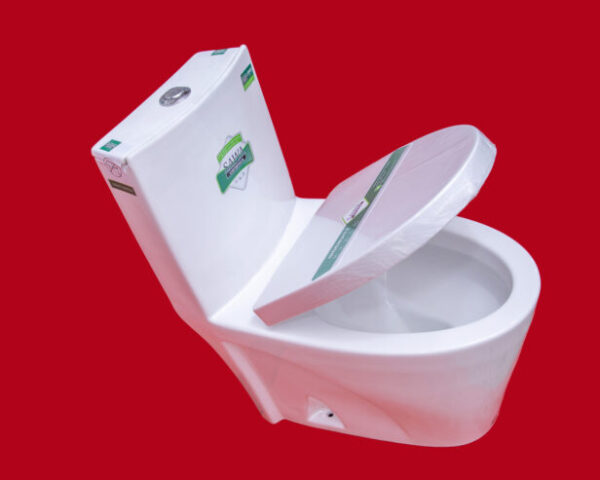 14-7-616x493 SAWA BG-01 Onepiece Toilet – Half Set