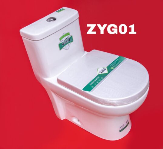 SAWA ZYG-01 One-Piece Toilet – Half Set