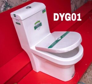 SAWA DYG01 Onepiece Toilet – Half Set