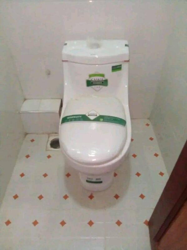 Sawa SW01 One-Piece Toilet – Half Set