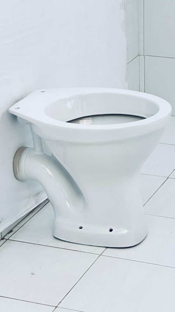 P-Trap Toilet Bowl
