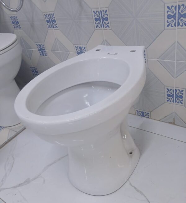 P-Trap Toilet Bowl