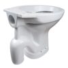 S-Trap Toilet Bowl