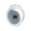 S-Trap Toilet Bowl