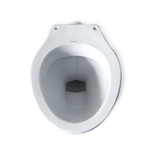 S-Trap Toilet Bowl