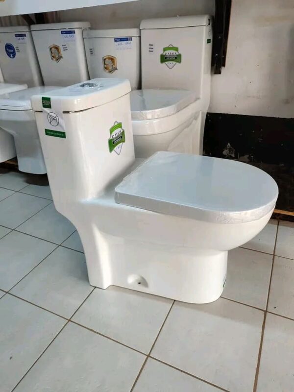 SAWA ZYG-01 One-Piece Toilet – Full Set