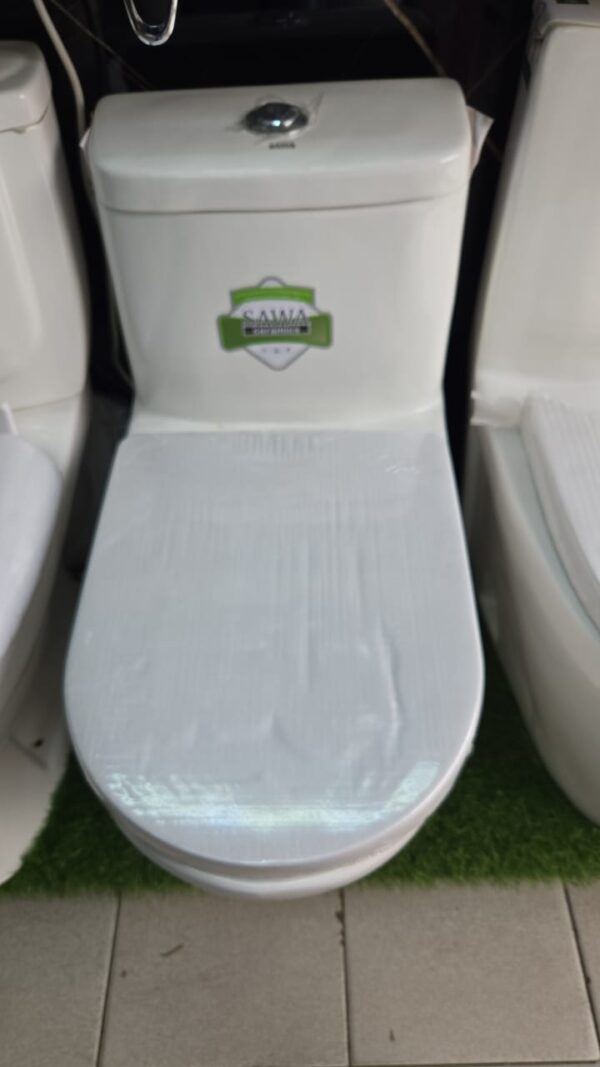 SAWA ZYG-01 One-Piece Toilet – Half Set