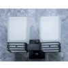 Matte Black Double Square Tumbler Holder | Dual Frosted Glass Modern Vanity Caddy